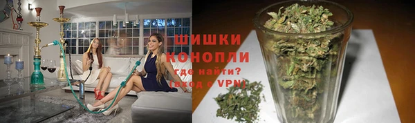 СК Белокуриха