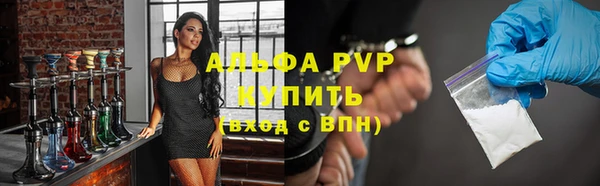 СК Белокуриха