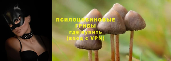 дурь Няндома