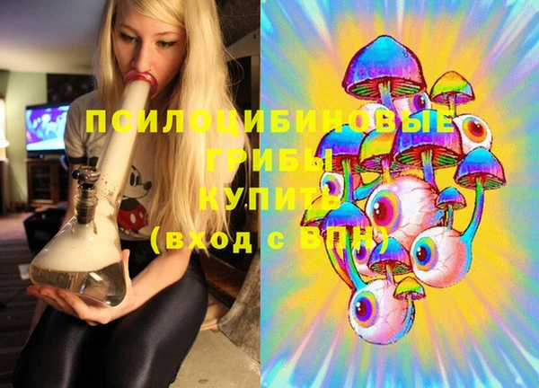 СК Белокуриха
