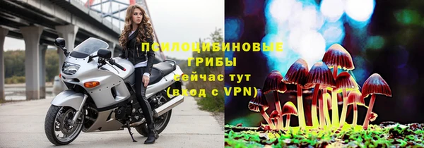 СК Белокуриха