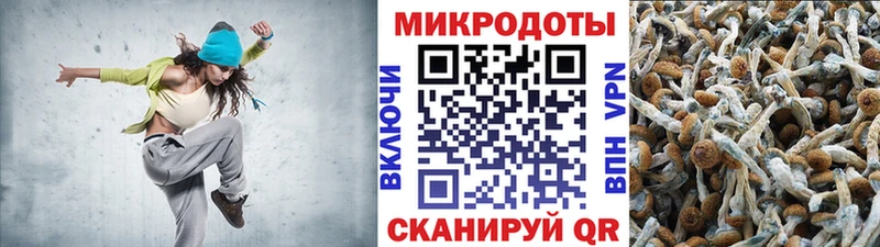 Галлюциногенные грибы Psilocybe  как найти   кракен ТОР  Кстово 